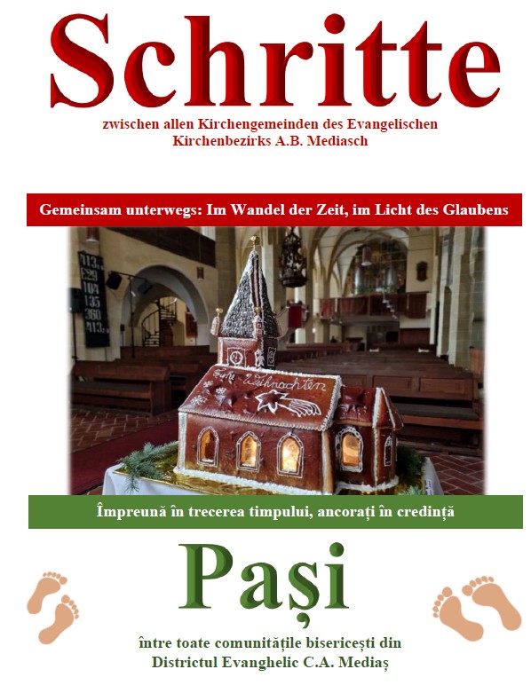 Captură de ecran 2025-12-11 200810