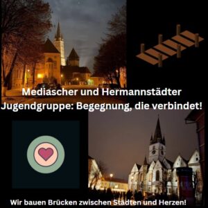 Captură de ecran 2025-12-12 223250