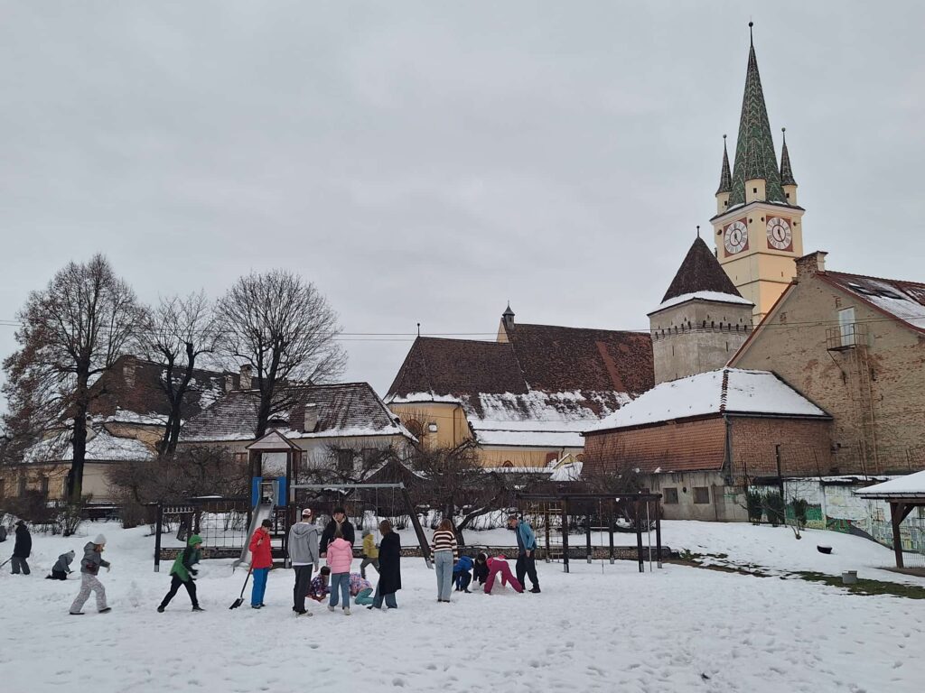 WhatsApp Image 2026-01-17 at 11.20.08